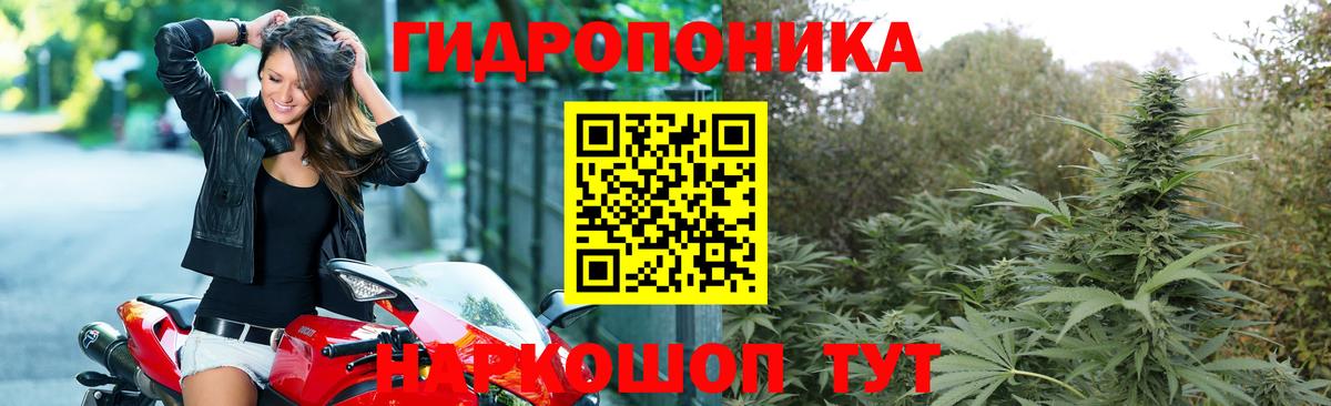 Канабис план  Вход с VPN  Шишки марихуана планчик  Марихуана сатива  Лесозаводск 